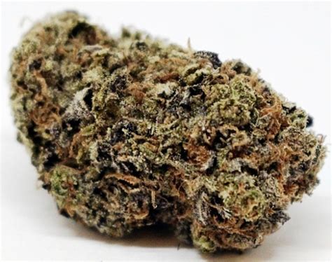 versace weed print|Versace Weed Strain Information .